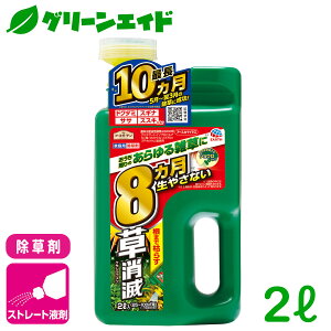  A[XJ}CY  WEwbh 2L A[X Xg[g   XMi G rMi[ SҌ Z[