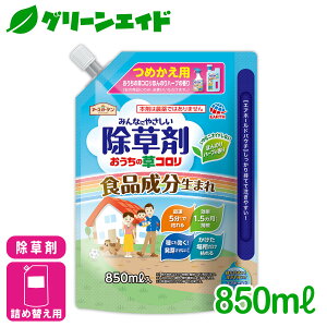 _{ISi|Cg10{Ly[{I^ ̑R ߂ 850ml A[X A Xg[g  G rMi[ SҌ Z[