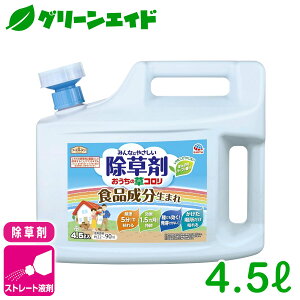 _12/4()20JnISi|Cg10{Ly[{\I^ ̑R 4.5L A[X A Xg[g  G rMi[ SҌ Z[