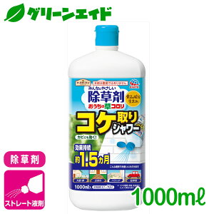  RP ̑R RPV[ 1000ml A[X Jr Hi [jSP CVNQ XMSP Z[