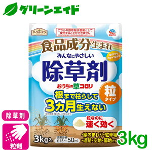 _12/4()20JnISi|Cg10{Ly[{\I^ ̑R@^Cv 3KG A[X A   G rMi[ SҌ Z[