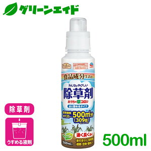  ̑R@Ŕ߂^Cv 500ML A[X A   G rMi[ SҌ Z[