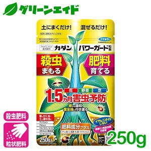 _JÁISi|Cg3{Ly[{\I^엿 E p[K[h 250G t}L[  ƒ؉    AuV | K[fjO SҌ rMi[