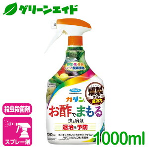 _JÁI撅5%OFFN[|sI^EEۍ J_|ł܂ 1000ML t}L[ ގ \h  n[u  | SҌ rMi[ Z[