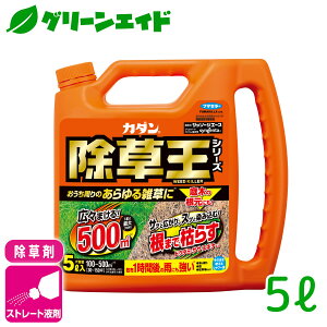 _12/4()20JnISi|Cg10{Ly[{\I^ J_Ub\[WG[X 5L t}L[ XMi G Ƃ܂ ԏ SҌ rMi[ Z[