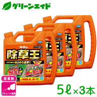 【3本セット】除草剤 カダン除草王ザッソージエース 5L フマキラー スギナ 雑草 家まわり 駐車場 初心者…
