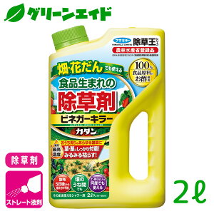 _12/4()20JnISi|Cg10{Ly[{\I^ J_rlK[L[ 2L t}L[ Hi G Ƃ܂ ԏ SҌ rMi[ Z[