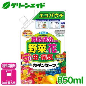 _11/20()20JnI撅ő10%OFFN[|sI^E Eۍ J_Z[tGRpE` 850ML t}L[ aC  K[fjO | rMi[ SҌ Z[