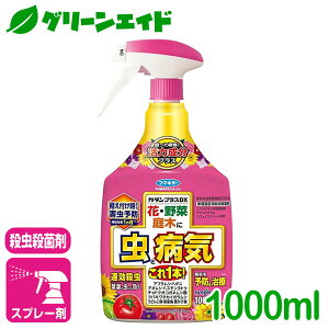 _ԌIwzɉĎgő1200~OFFN[|sI^E Eۍ J_vXDX 1000ML t}L[ aC  K[fjO | rMi[ SҌ Z[