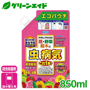 _{܂ŁI撅ő10%OFFN[|sI^E Eۍ J_vXDXGRpE` 850ML t}L[ aC  K[fjO | rMi[ SҌ Z[