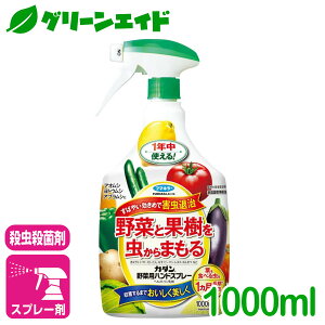 _2ԌI܂Ƃߔōő10%OFFN[|s!^E J_ؗpnhXv[ 1000ML t}L[  ʎ  K[fjO | rMi[ SҌ Z[