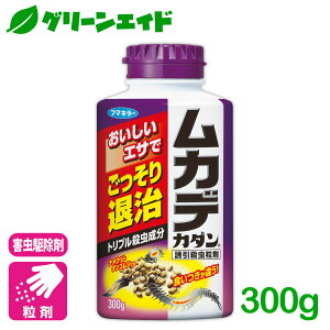 _{I܂Ƃߔōő10%OFFN[|s!^Jf E JfJ_UE 300g t}L[ 쏜 ގ U  SҌ rMi[ Z[