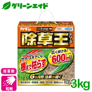 _12/4()20JnISi|Cg10{Ly[{\I^ J_@I[L[ 3KG t}L[ ԏ 󂫒n Ƃ܂ SҌ rMi[ Z[