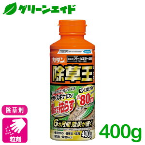  J_@I[L[ 400G t}L[ ԏ 󂫒n Ƃ܂ SҌ rMi[ Z[