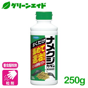 _11/20()20JnI撅ő10%OFFN[|sI^iNW E iNWJ_ UE 250g t}L[ 쏜 ގ  | K[fjO Z[