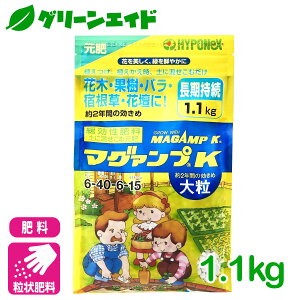 _{I܂Ƃߔōő10%OFFN[|s!^엿  }O@vK 嗱 1.1kg nC|lbNX  | K[fjO rMi[ SҌ