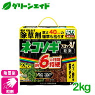 除草剤 ネコソギブロックV粒剤 2KG レインボー薬品 駐車場 空き地 家まわり 初心者向け ビギナー向け 送…