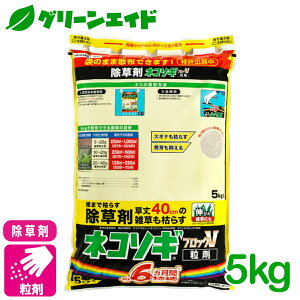 _JÁI撅5%OFFN[|sI^ lR\MubNV 5KG C{[i ԏ 󂫒n Ƃ܂ SҌ rMi[ 