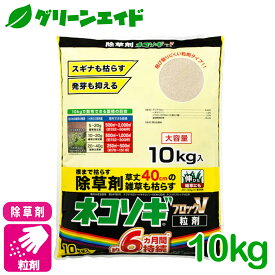 除草剤 ネコソギブロックV粒剤 10KG レインボー薬品 駐車場 空き地 家まわり 初心者向け ビギナー向け 送料無料