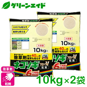 _JÁI撅5%OFFN[|sI^yz ܂Ƃߔ 2Zbg  lR\MgbvF 10KG×2܃Zbg C{[i XMi qVo IqVo _kn _kn 