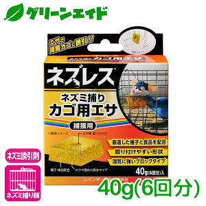 lY~ U lYXlY~߂JSpGT 40g(6) C{[i ߊl 쏜 a Z[