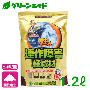 yǍ AQy 1.2L RpȊw AQ | ƒ؉ K[fjO Z[