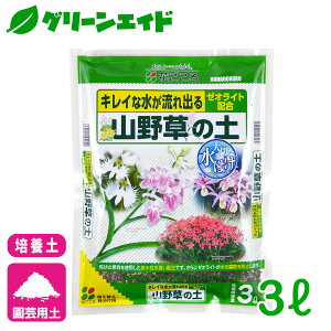 |{y R쑐̓y 3L Ԃ E`E | K[fjO Z[