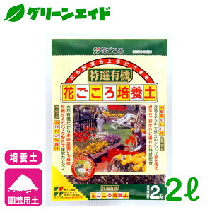 _{ISi|Cg10{Ly[{I^|{y IL@Ԃ|{y 2L Ԃ   K[fjO | rMi[ SҌ