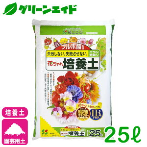 |{y t{_z Ԃ|{y 25L Ԃ   K[fjO | rMi[ SҌ 