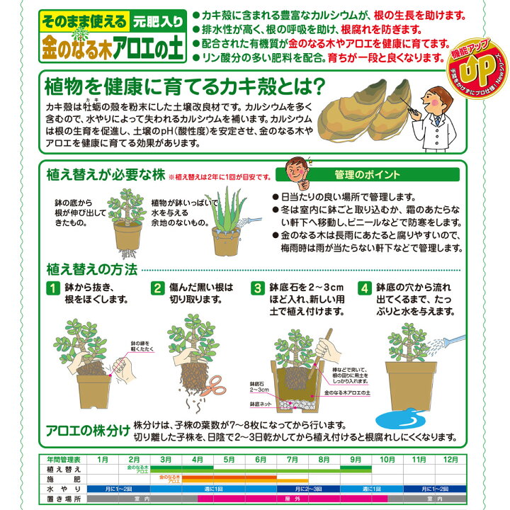 楽天市場 培養土 金のなる木アロエの土 5l 花ごころ 観葉植物 ガーデニング 園芸 ビギナー向け 初心者向け グリーンエイド 楽天市場 培養土 金のなる木アロエの土 5l 花ごころ 観葉植物 ガーデニング 園芸 ビギナー向け 初心者向け グリーンエイド