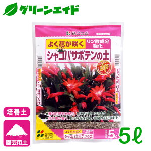 �_���Ԍ���I�w�����z�ɉ����Ďg����ő�500�~OFF�N�[�|�����s���I�^�|�{�y �V���R�o�T�{�e���̓y 5L �Ԃ����� �����A�� ���| �K�[�f�j���O �r�M�i�[���� ���S�Ҍ��� �����Z�[��