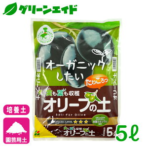 I[u |{y I[u̓y 5L Ԃ | K[fjO rMi[ SҌ Z[