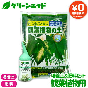 【送料無料】 培養土&肥料セット 観葉植物用 花ごころ ハイポネックス 観葉植物の土 5L キュート 観葉植物用 150ml 用土 液体肥料 液肥 観葉植物 ガーデニング 園芸