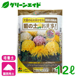 LN |{y e̓yI 12L Ԃ | K[fjO Z[