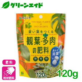 ＼6/4(火)20時開始！最大20%OFFの大型セール開催予定！／錠剤肥料 観葉・多肉の肥料 120g 花ごころ サボテン 園芸 ガーデニング ビギナー向け 初心者向け 応援セール