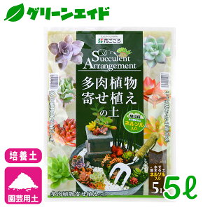 _JÁI撅5%OFFN[|sI^|{y A񂹐A̓y 5L Ԃ T{e | K[fjO rMi[ SҌ Z[