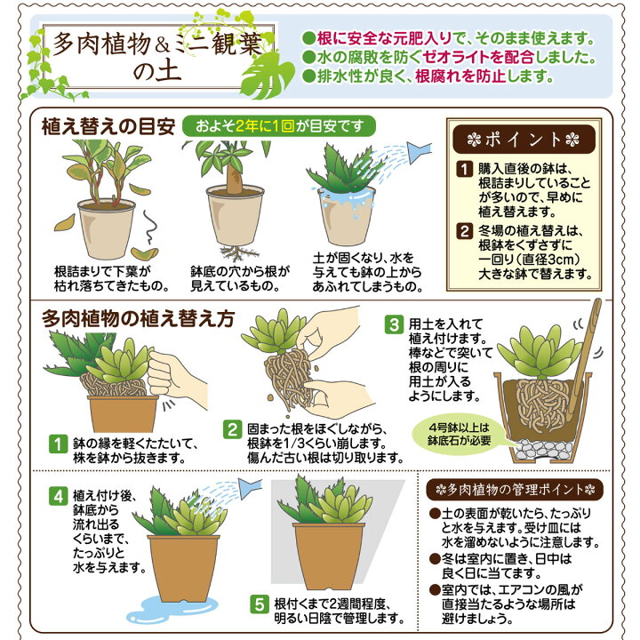 楽天市場】培養土 多肉植物&ミニ観葉の土 1L 花ごころ サボテン 園芸 ガーデニング ビギナー向け 初心者向け : グリーンエイド 楽天市場】培養土 多肉植物&ミニ観葉の土 1L 花ごころ サボテン 園芸 ガーデニング ビギナー向け 初心者向け : グリーンエイド