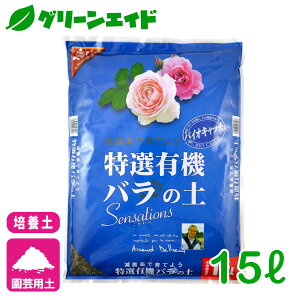 _{ISi|Cg10{Ly[{I^o |{y IL@o̓y 15L Ԃ | K[fjO rMi[ SҌ Z[