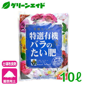 _JÁISi|Cg3{Ly[{\I^o ͔ IL@ô 10L Ԃ | K[fjO rMi[ SҌ Z[