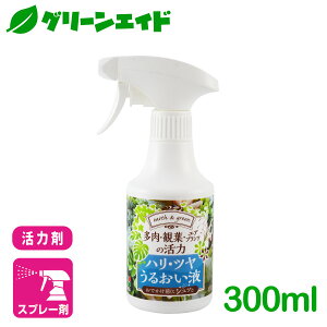 エアプランツ 肥料の人気商品 通販 価格比較 価格 Com
