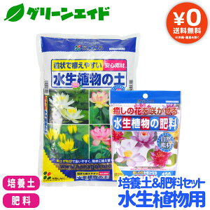 _JÁI撅5%OFFN[|sI^yz |{y엿Zbg Ap Ԃ A̓y 2L A̔엿 120g rIg[v y 엿 | K[fjO rMi