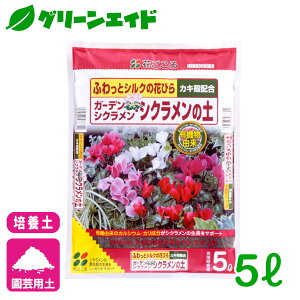 VN |{y K[fVNEVN̓y 5L Ԃ K[fjO | rMi[ SҌ Z[