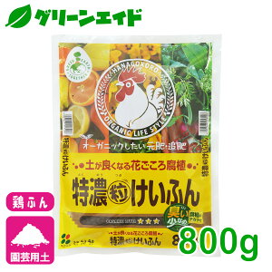 {ӂ Zӂ 800g Ԃ 엿 | K[fjO rMi[ SҌ