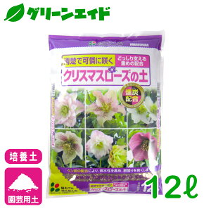 _{ISi|Cg10{Ly[{I^|{y NX}X[Y̓y 12L Ԃ K[fjO | rMi[ SҌ Z[