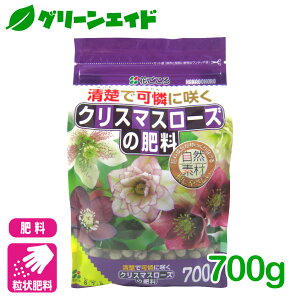 _{ISi|Cg10{Ly[{I^엿 NX}X[Y̔엿 700g Ԃ K[fjO | rMi[ SҌ