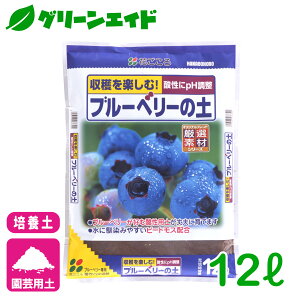 u[x[ |{y u[x[̓y 12L Ԃ ƒ؉ K[fjO | rMi[ SҌ Z[