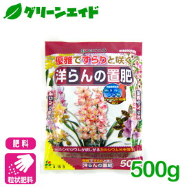 ＼1/24(土)20時開始！先着限定全品7%OFFクーポン発行中！／洋ラン 肥料 洋らんの置肥 500g 花ごころ シンビジウム ガーデニング 園芸 ビギナー向け 初心者向け 応援セール