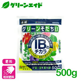 ＼期間限定！購入点数に応じて使える最大10%OFFクーポン発行中！／肥料 定番 グリーンそだちEX IBのチカラ 500g 花ごころ ガーデニング 園芸 鉢花 草花 観葉植物 ビギナー向け 初心者向け