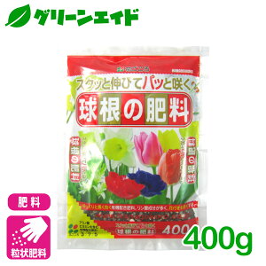  엿 ̔엿 400g Ԃ `[bv  K[fjO | rMi[ SҌ