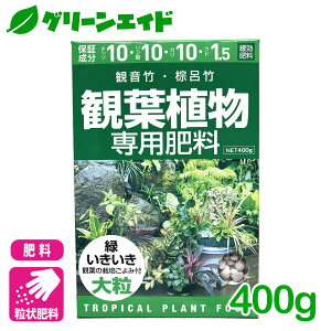 _ԌIwzɉĎgő1200~OFFN[|sI^ϗtA 엿 ϗtAp엿 400g A~m[w ω| L| | K[fjO SҌ rMi[